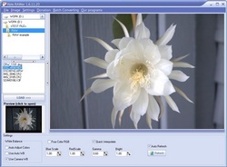 Screenshot of Able RAWer 1.2