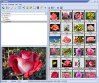 Able Image Browser 2.0.14.14