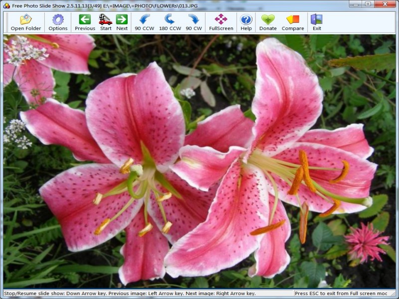 Free Photo Slide Show Windows 11 download