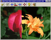 Able Photo Slide Show screenshot - Display all photos and graphic files in a folder as a slide show.