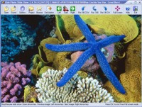 Easy Photo Slide Show 2.7.8.22 screenshot