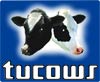 Photo Slide Show Tucows 3 star